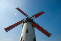 Windmill in Damme