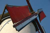 Windmill in Damme