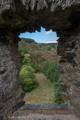 <div></div>