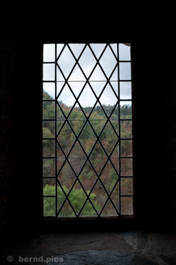 <div></div>